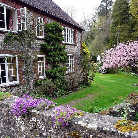 Bridge Cottage มิดเฮิร์สต์ ภายนอก รูปภาพ